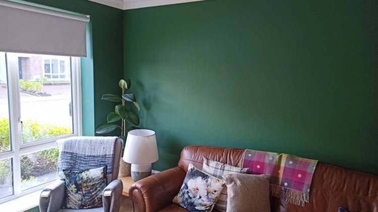 painting services Galway